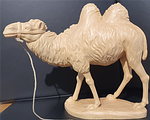 Kamel mit zwei Höckern